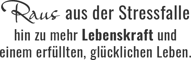 Raus aus der Stressfalle Raus aus der Stressfalle hin zu mehr Lebenskraft und einem erfüllten, glücklichen Leben.