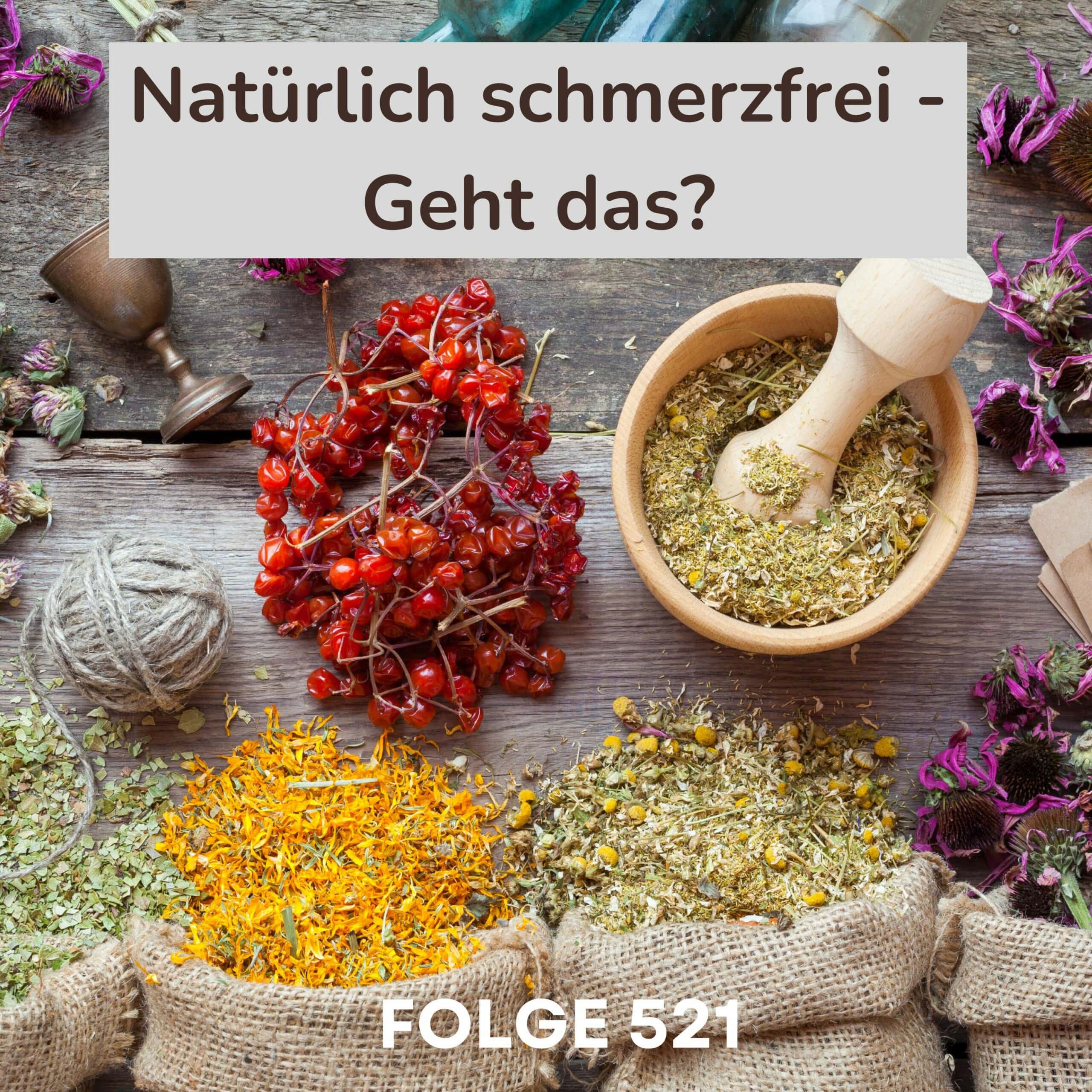 Ein Bild von verschiedenen Kräutern und Beeren, die helfen, natürlich schmerzfrei zu werden